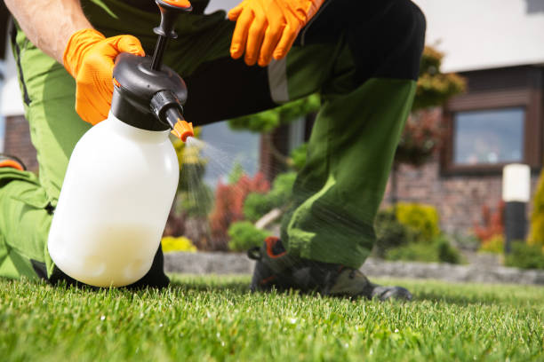 Best Pest Control Near Me in Cullman, AL